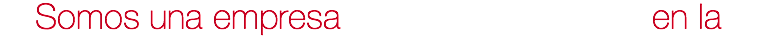 Somos una empresa en la