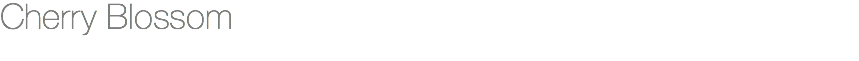 Cherry Blossom